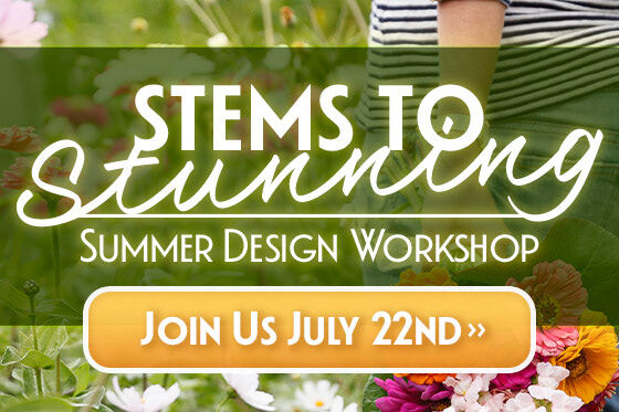 July 22nd: Stems To Stunning Summer Design Workshop