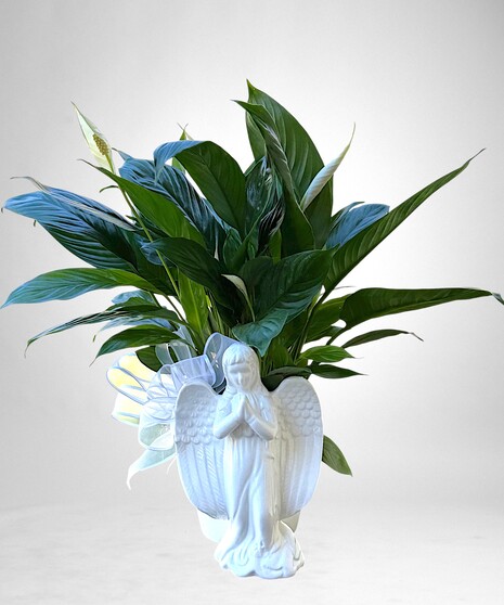 Guardian Angel Planter