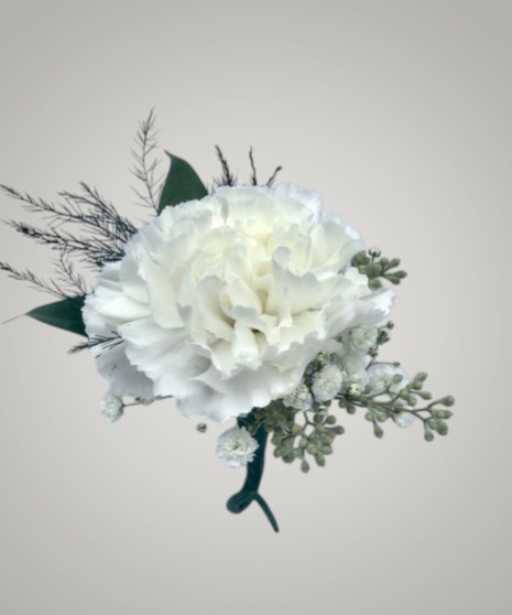 Carnation - Boutonniere