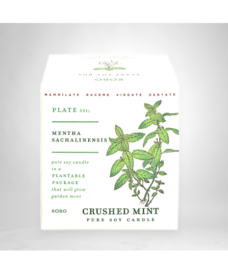 Crushed Mint - Seed Box Candle