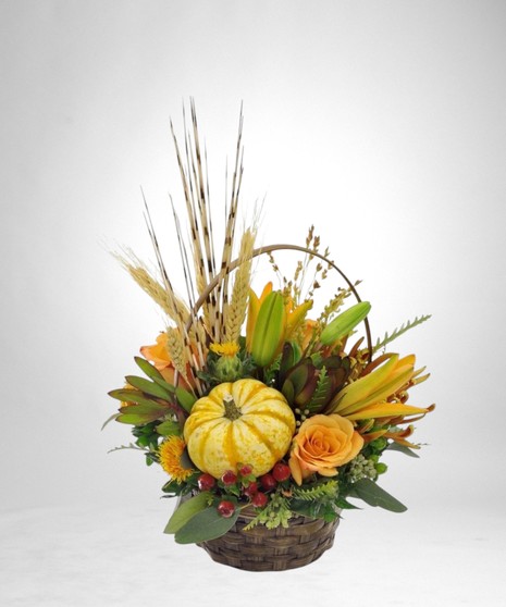 Gourds and Grains