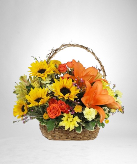 Harvest Homecoming