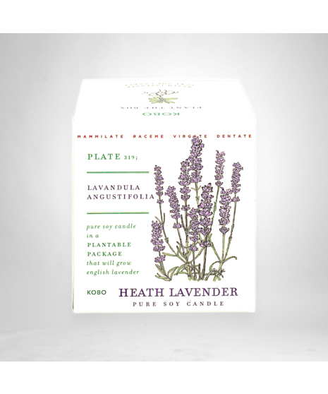 Heath Lavender - Seed Box Candle