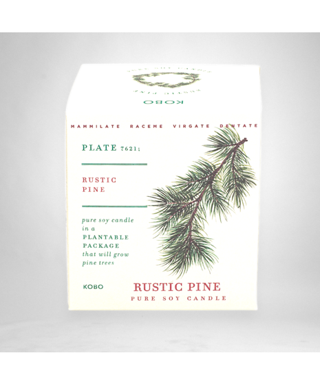 Rustic Pine - Seed Box Candle
