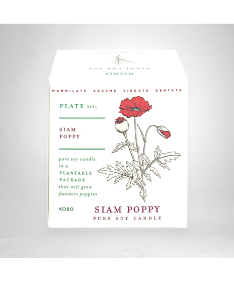 Siam Poppy - Seed Box Candle