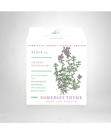 Somerset Thyme - Seed Box Candle