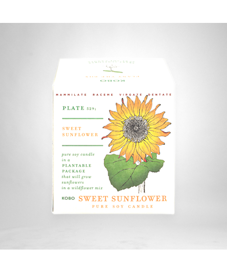 Sweet Sunflower - Seed Box Candle