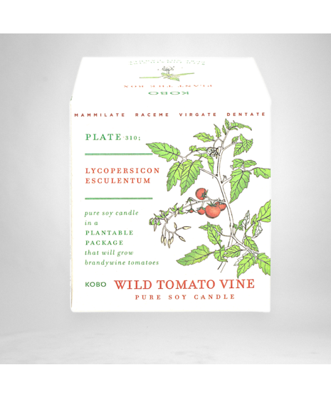 Wild Tomato Vine - Seed Box Candle