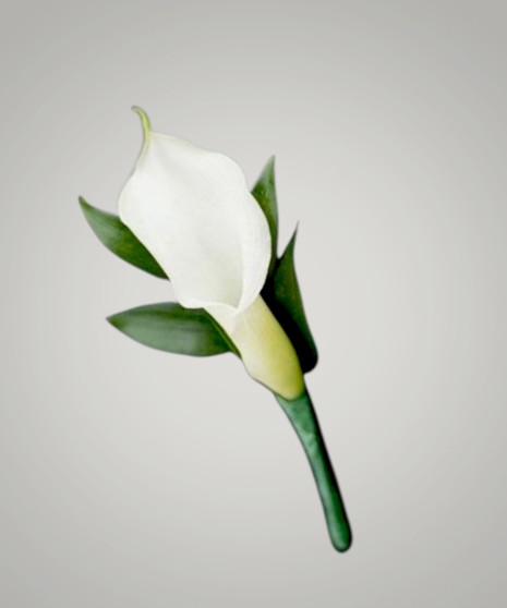 Calla Lily - Boutonniere