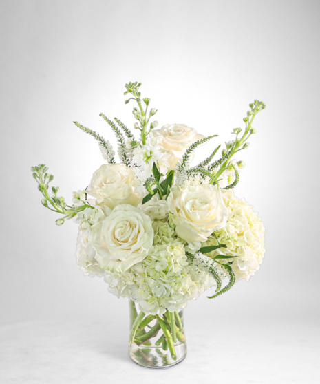 Chantilly Elegance