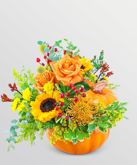 Pumpkin In Radiance